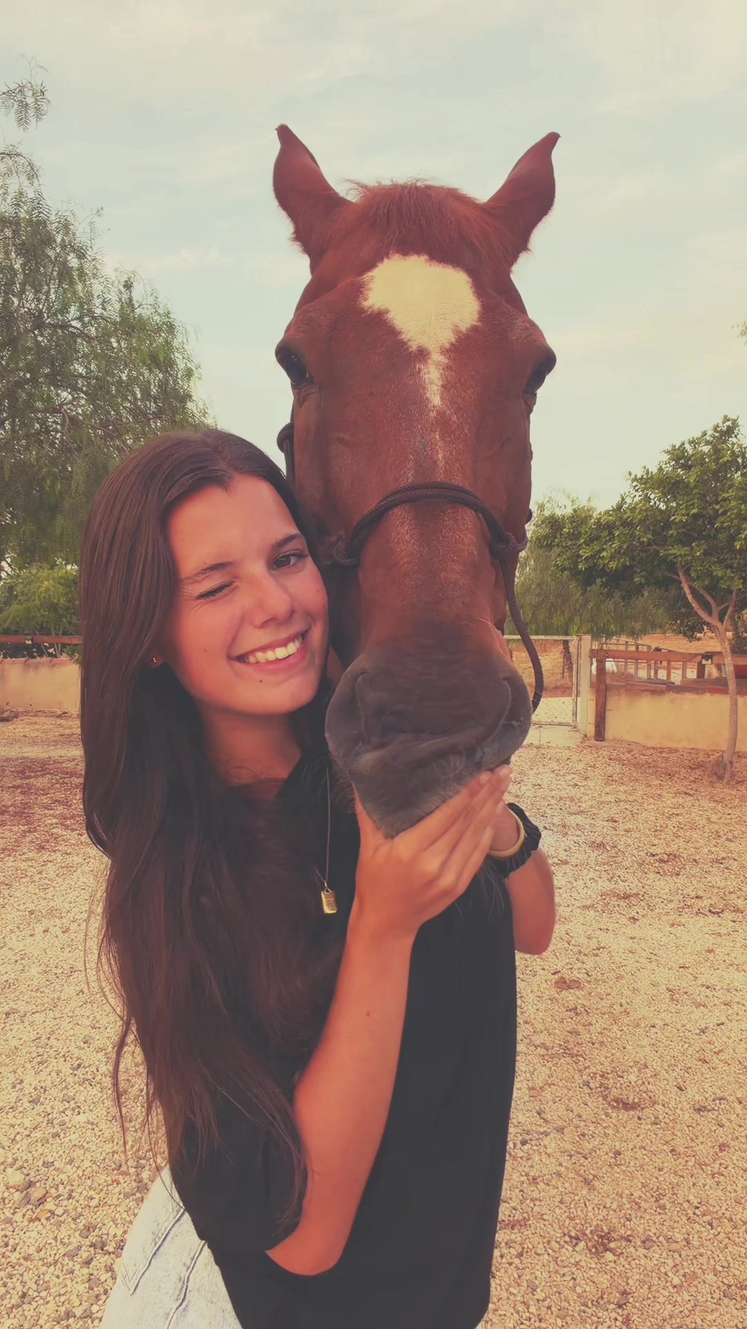 @MyHorse