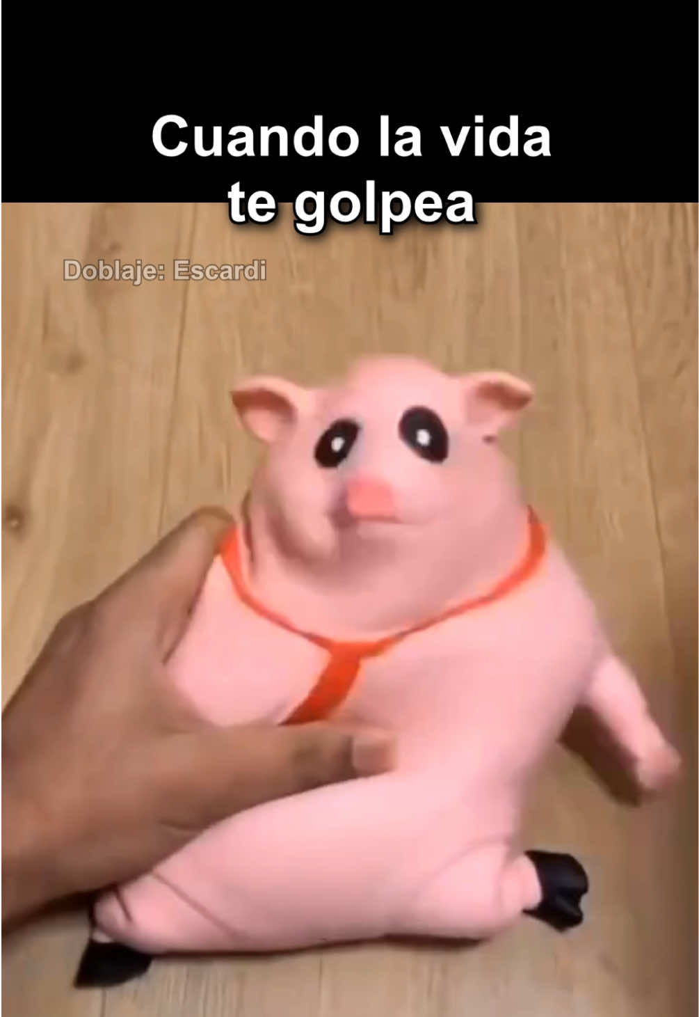 @Escardi