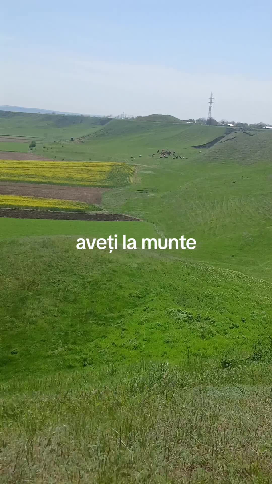 @Marian