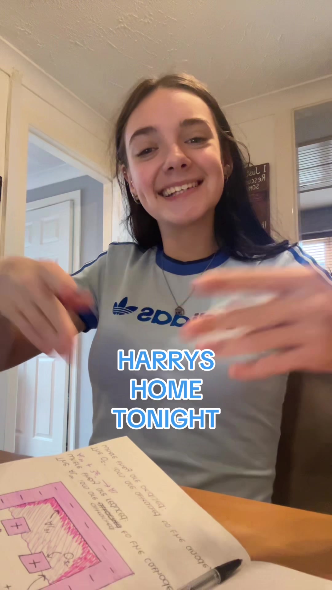 @lucy ౨ৎ