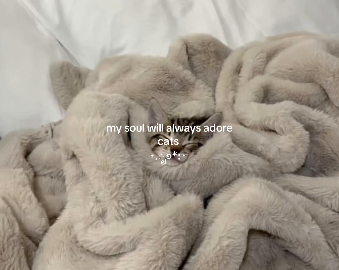 @lia ꨄ