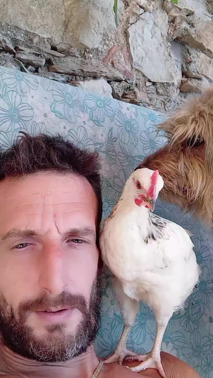 @Mansió de la gran vida