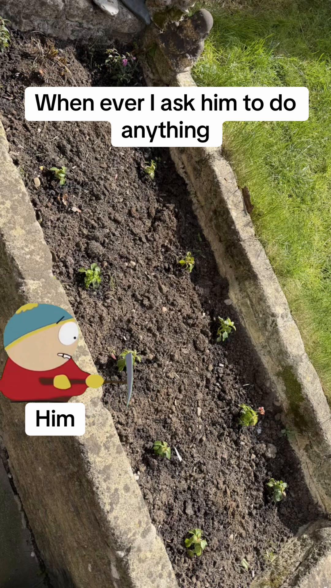 @gemma