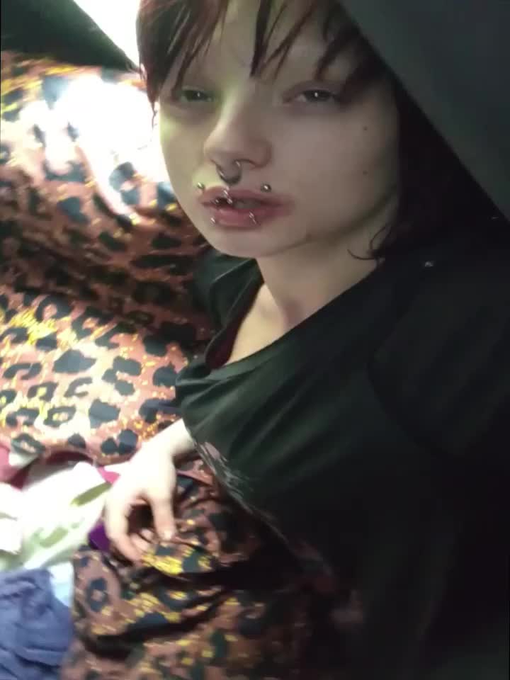 @xo.blxd.stxin.ox