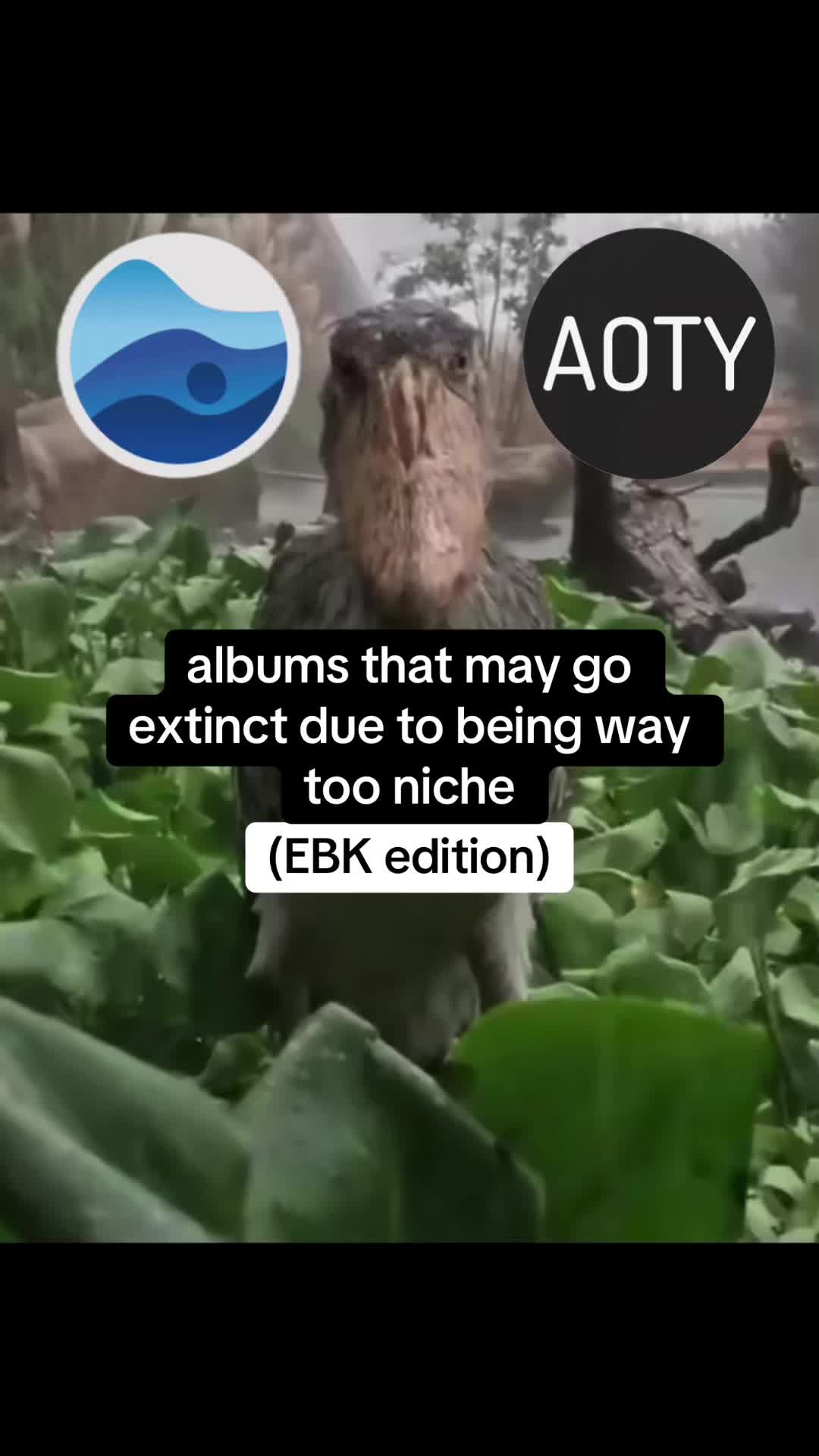 @ant