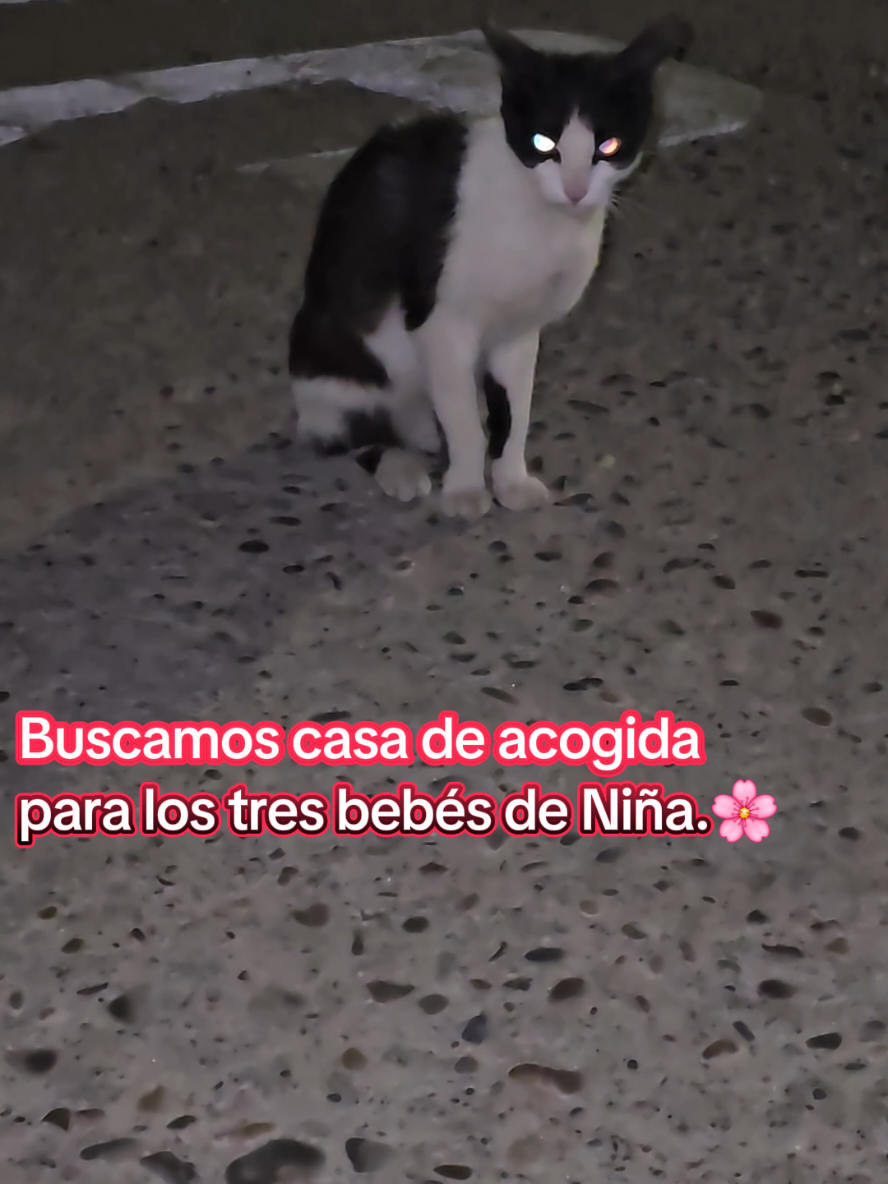 @garritasespaciales