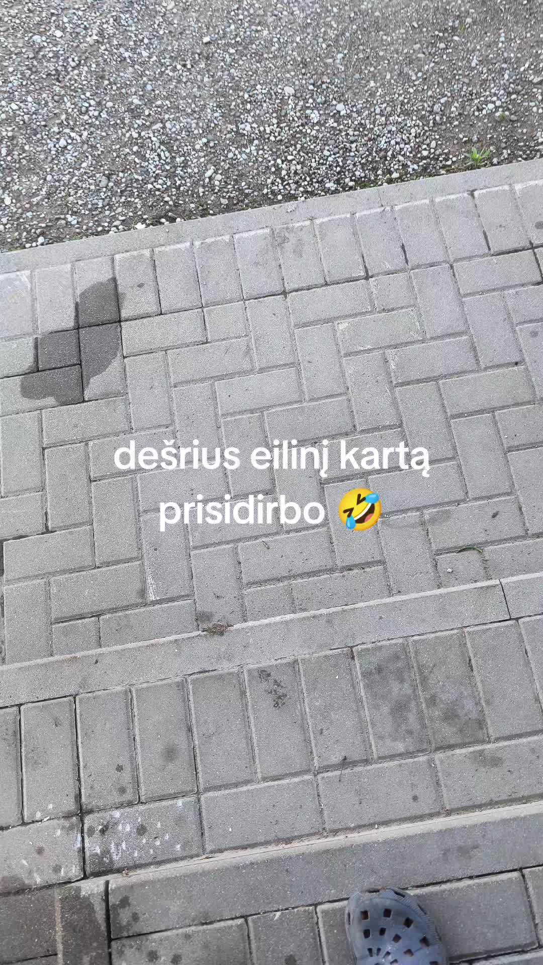 @👻🦊 Lapino &Scaron;mėkla 🦊👻