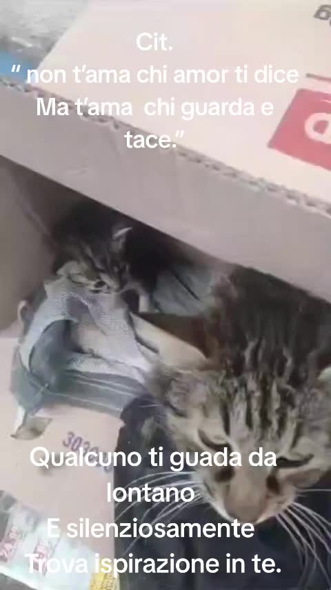 @ELETTRA L'ANIMALISTA