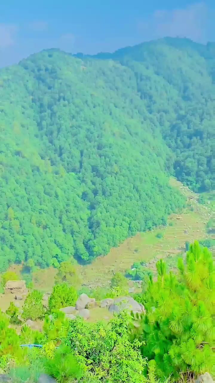 @✩彡 𝗨𝗠𝗔𝗥𝗢𝗢彡✩