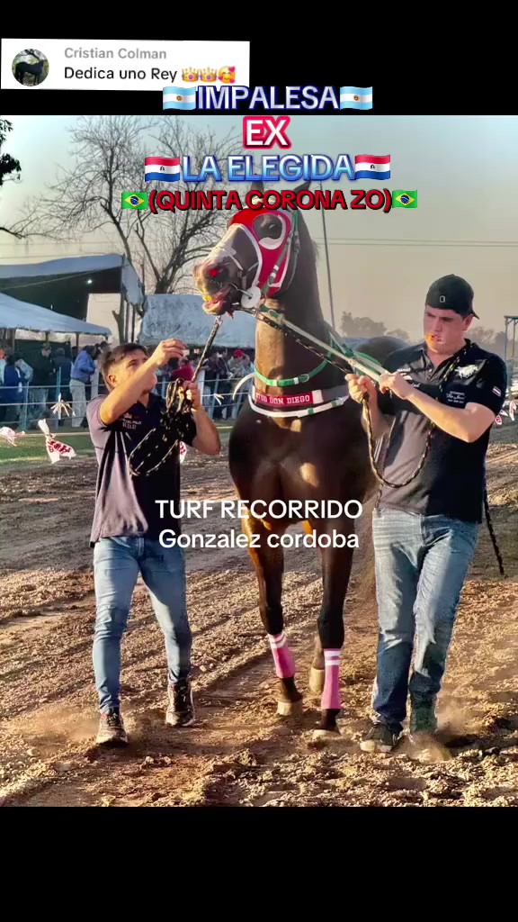 @WIL.🐎