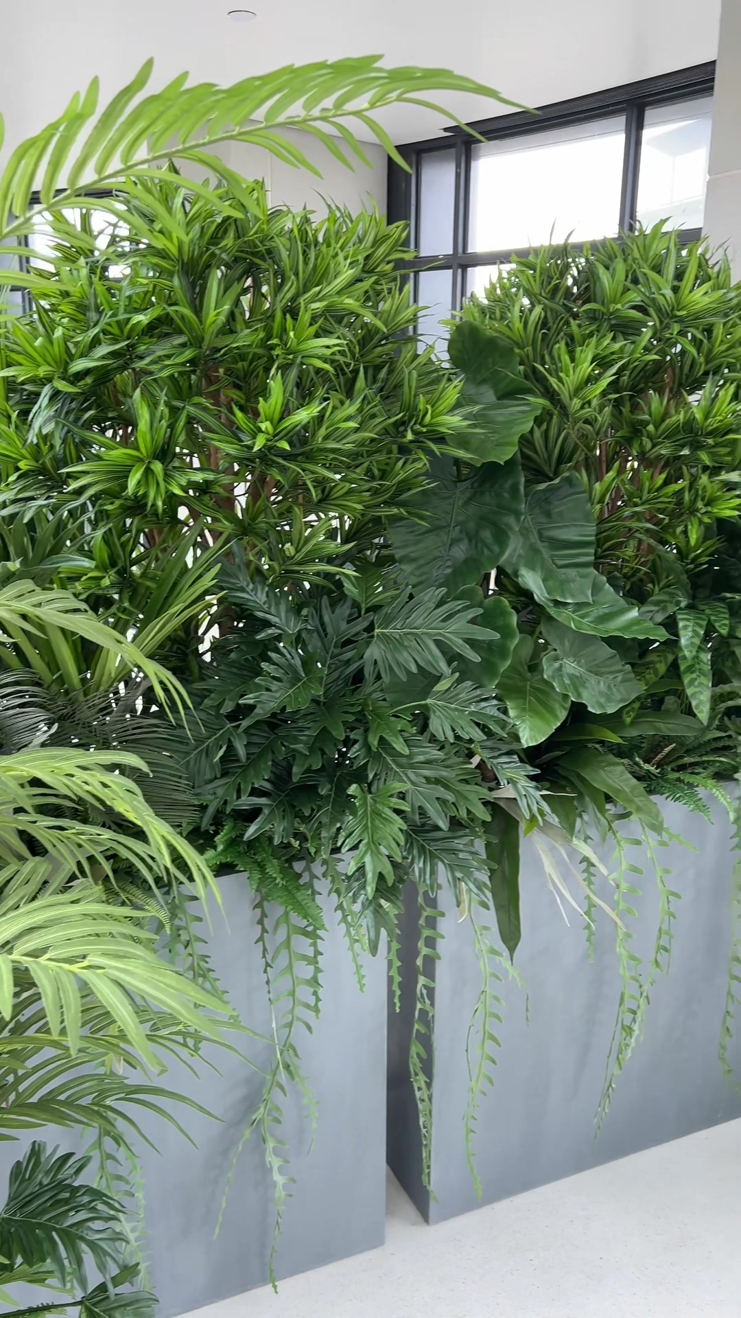 @plantsbythere