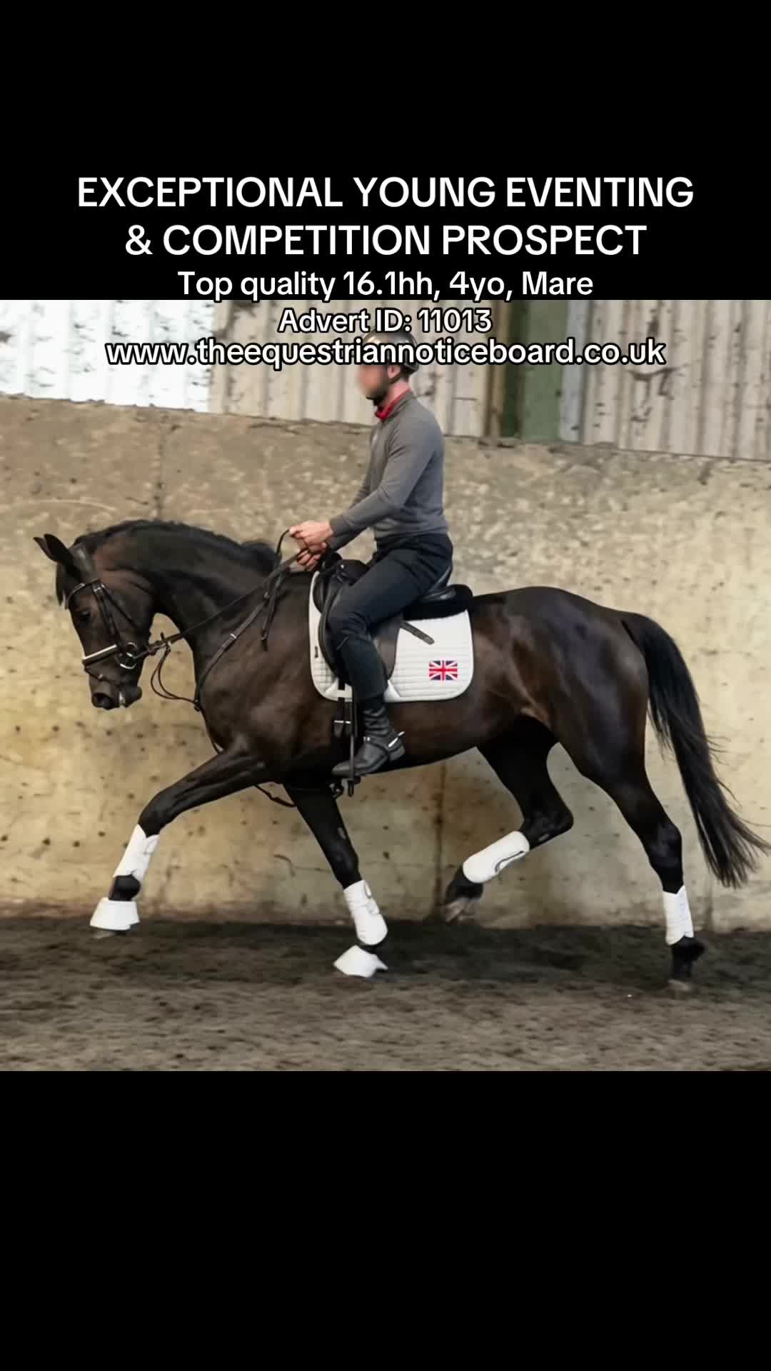 @theequestriannoticeboard
