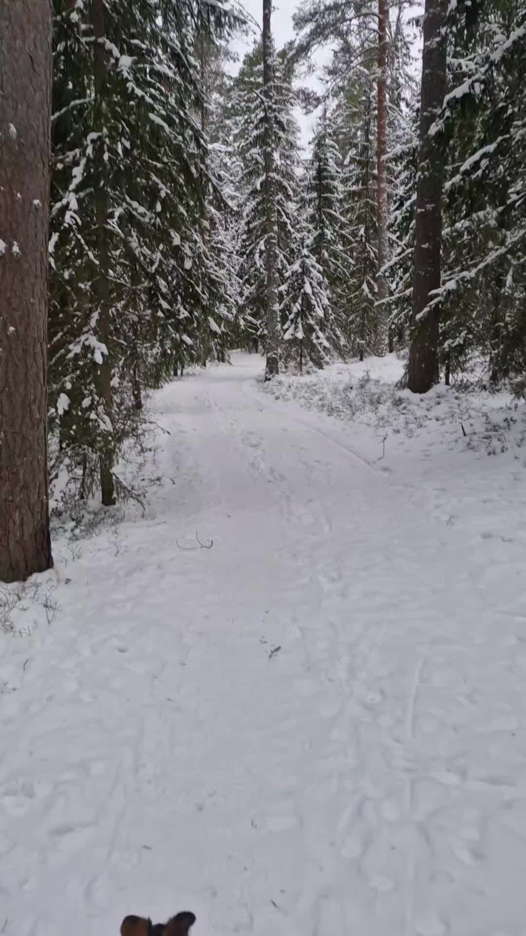 @MustaSyd&auml;n