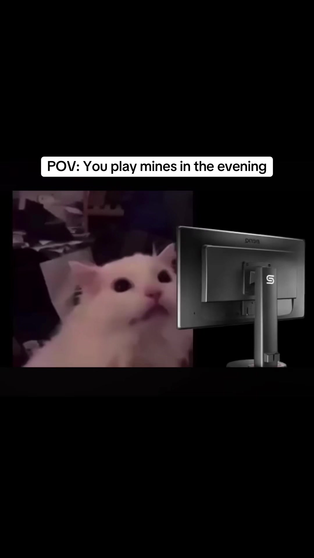 @FCG|Arc_Tim