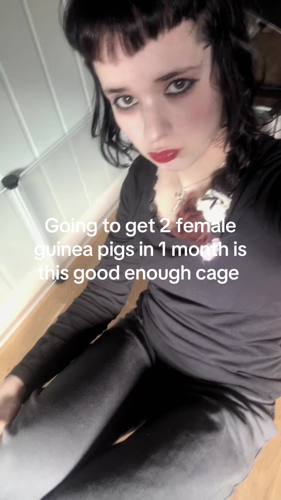 @Thatgirl⦻🐈⬛⦻