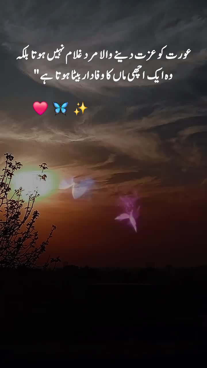 @NOOR 𔘓 / 🫥