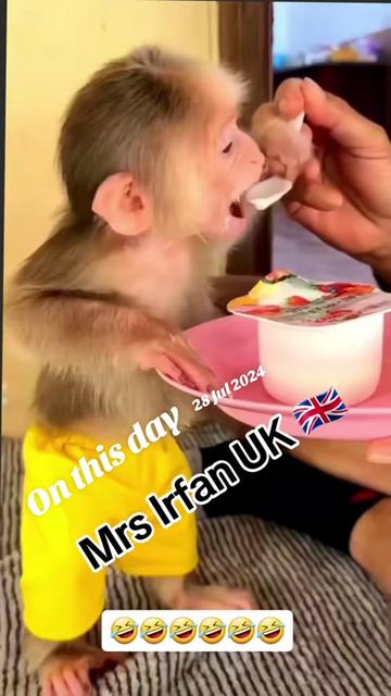 @Mrs Irfan UK 🇬🇧