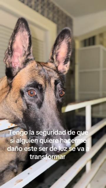 @Lobalobita