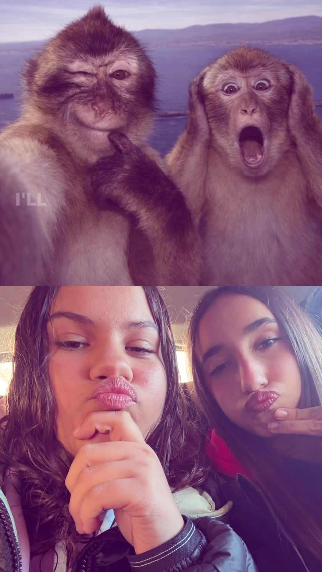 @mery&gine