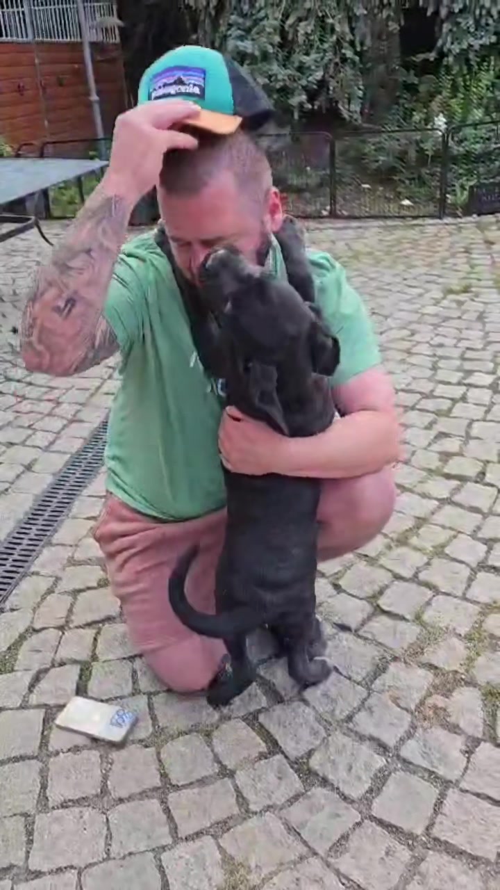 @Cane Corso PatoSquad