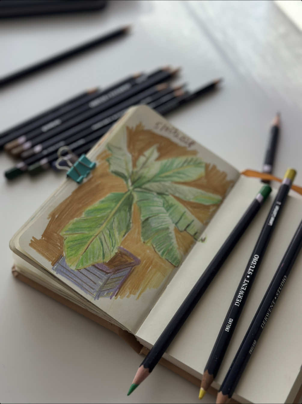 @illustrator_picturebooks