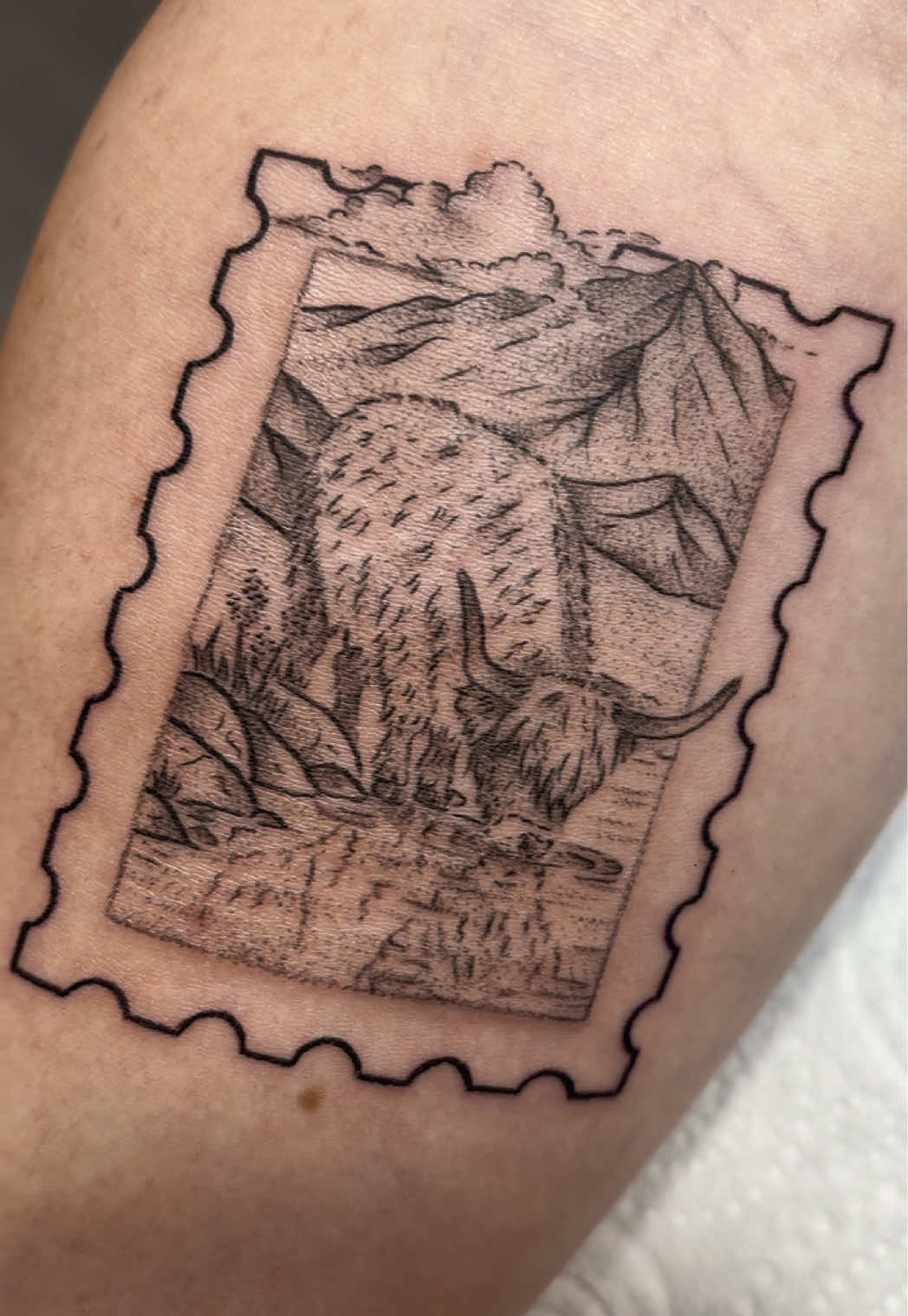 @snow.white.ink