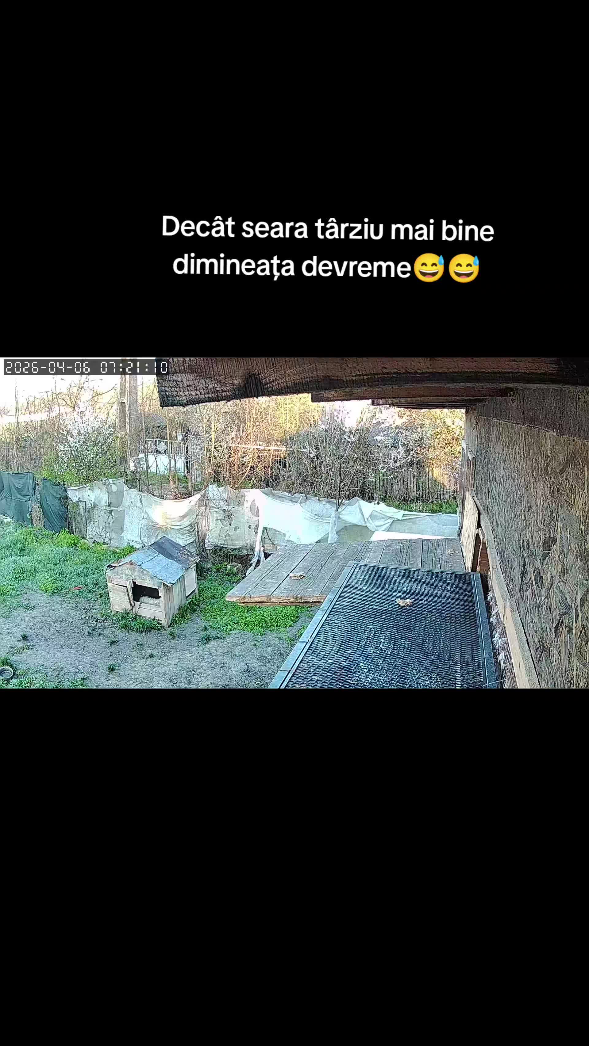 @(Frații Coman)