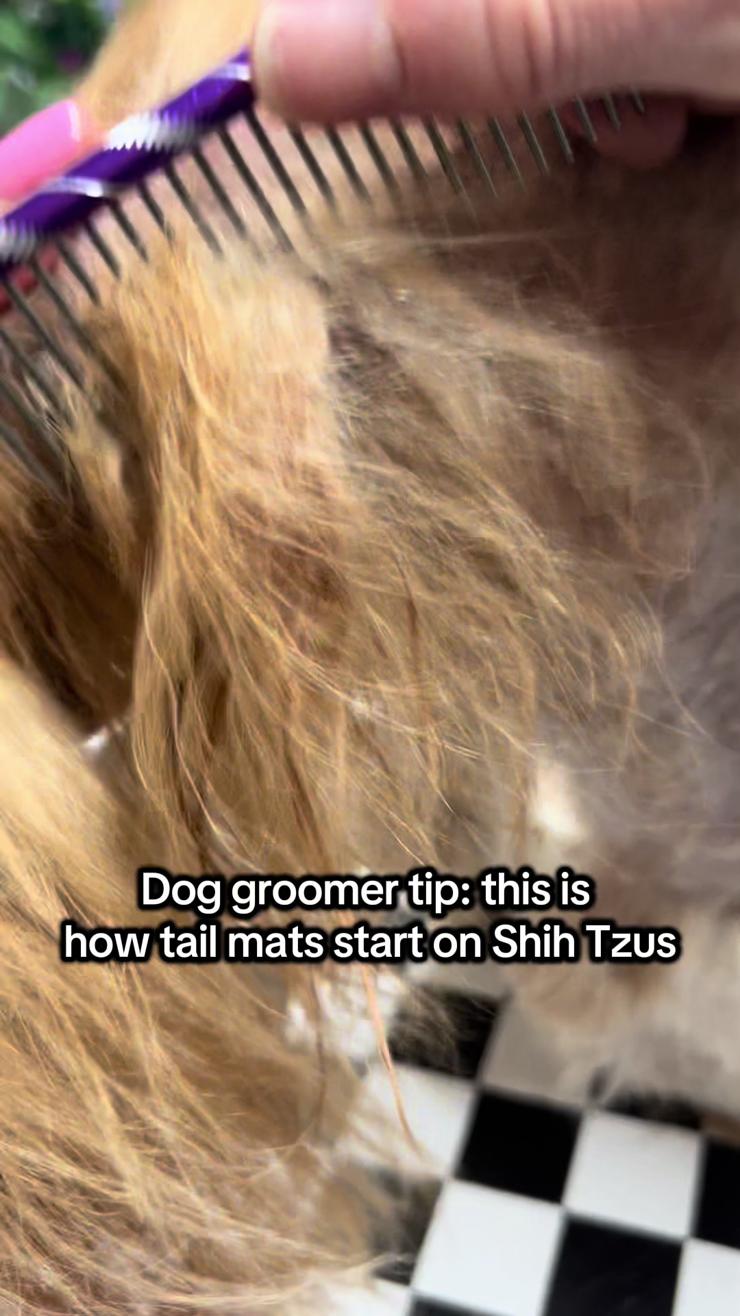 @Poochiepoosdoggrooming