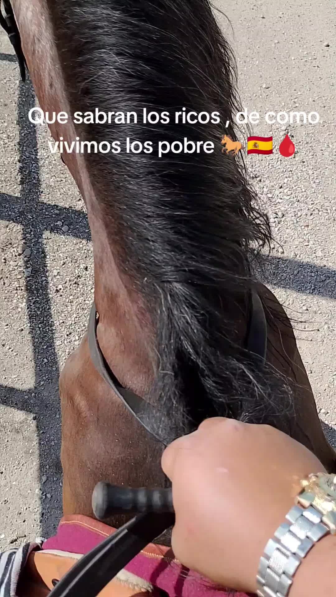 @CUADRA FERN&Aacute;NDEZ 🇦🇿🐎