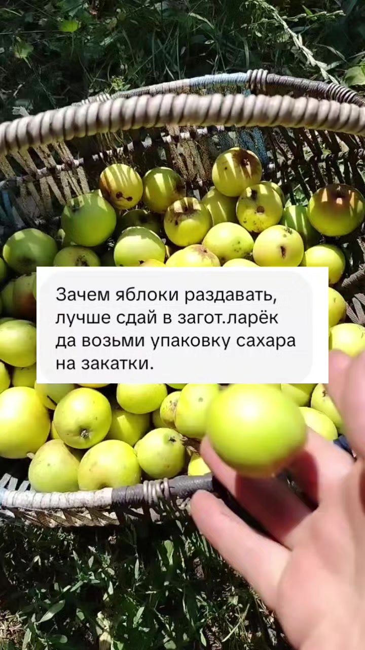 @Надежда Минько