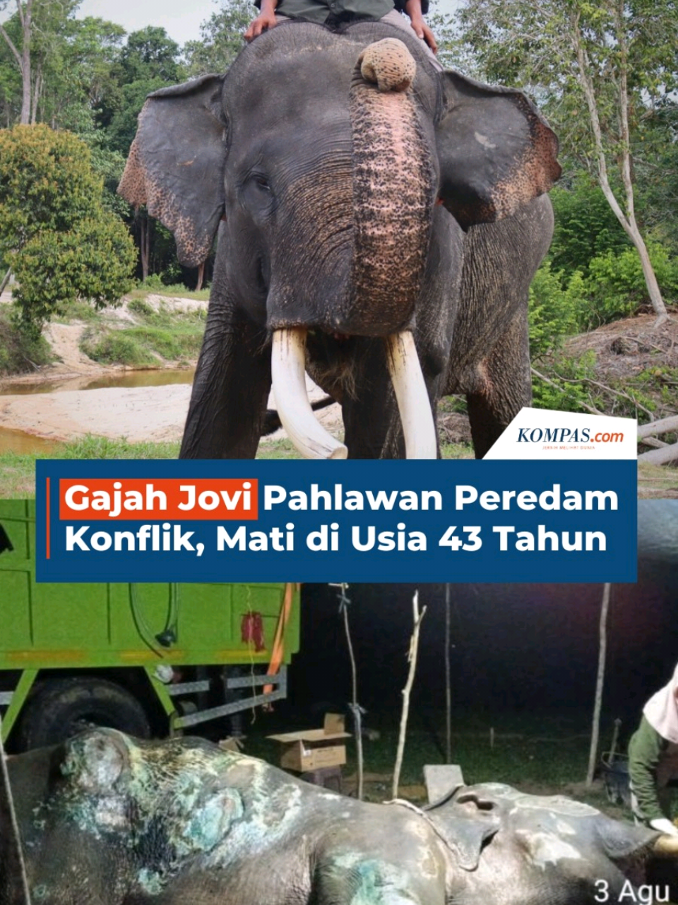 @Kompas.com