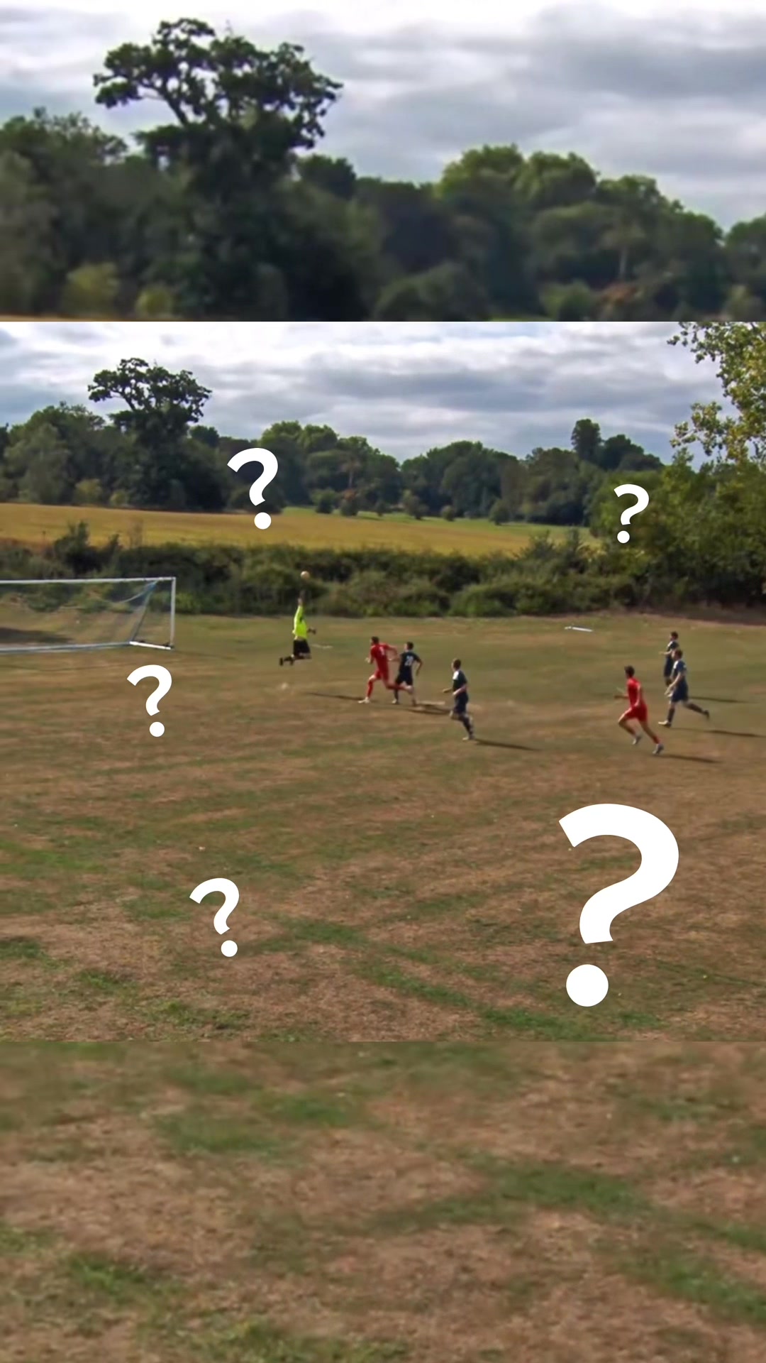 @Hadleigh Dragons