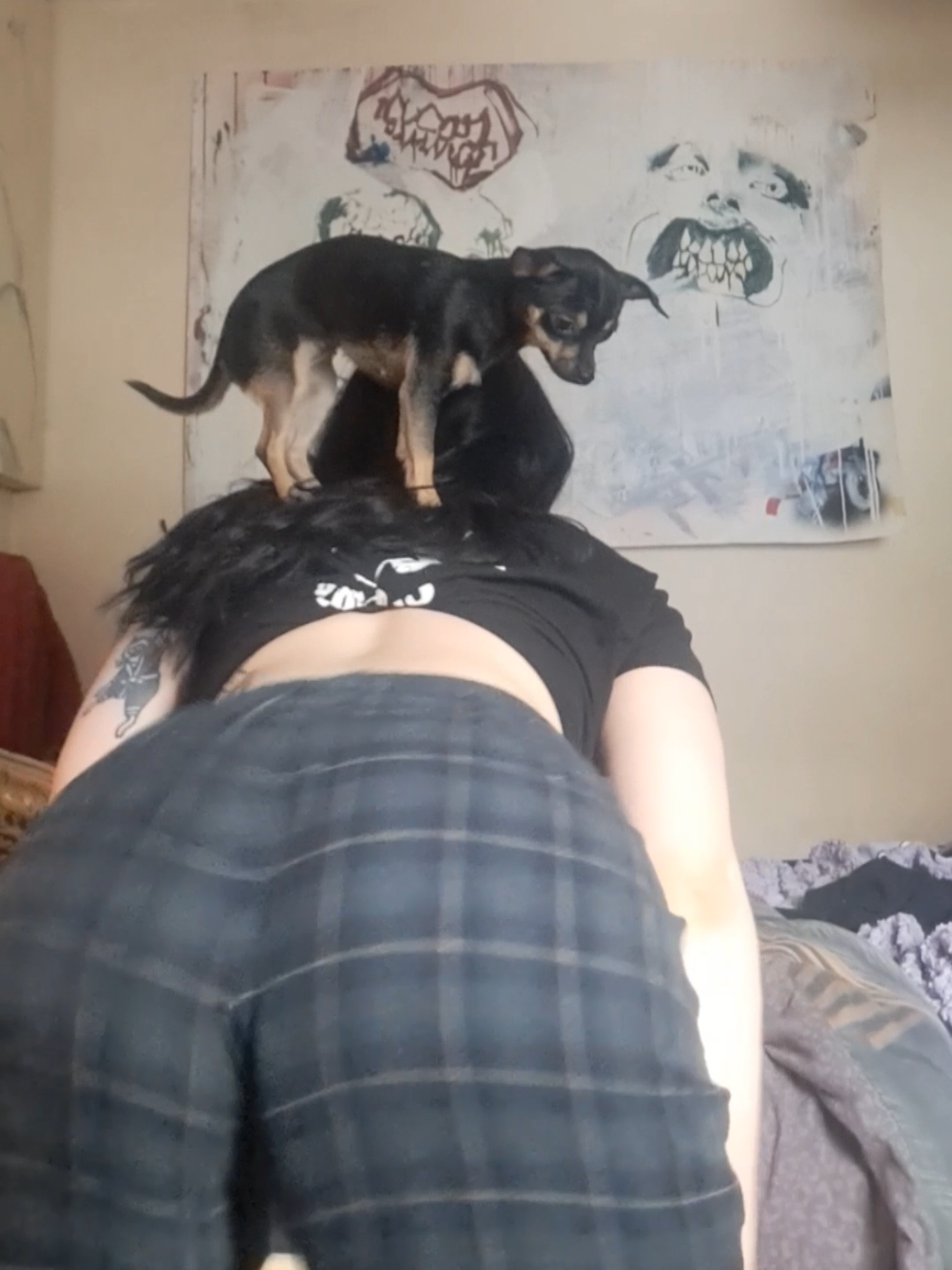 @pepper // pawggersgoth