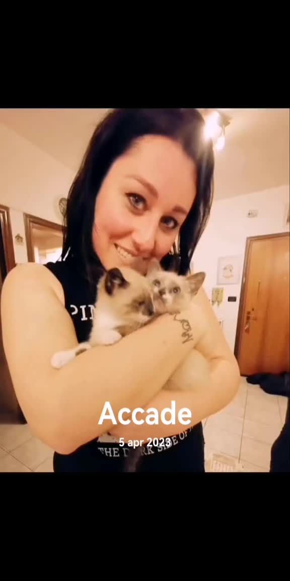 @Monica Pulcini