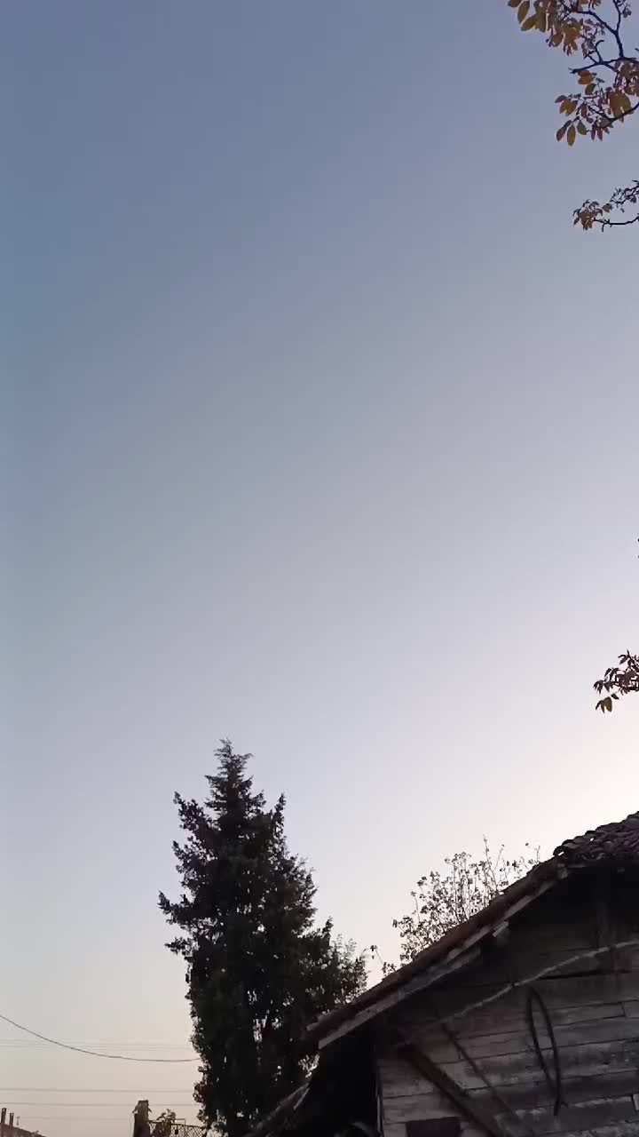 @ömer Faruk Dişci 54