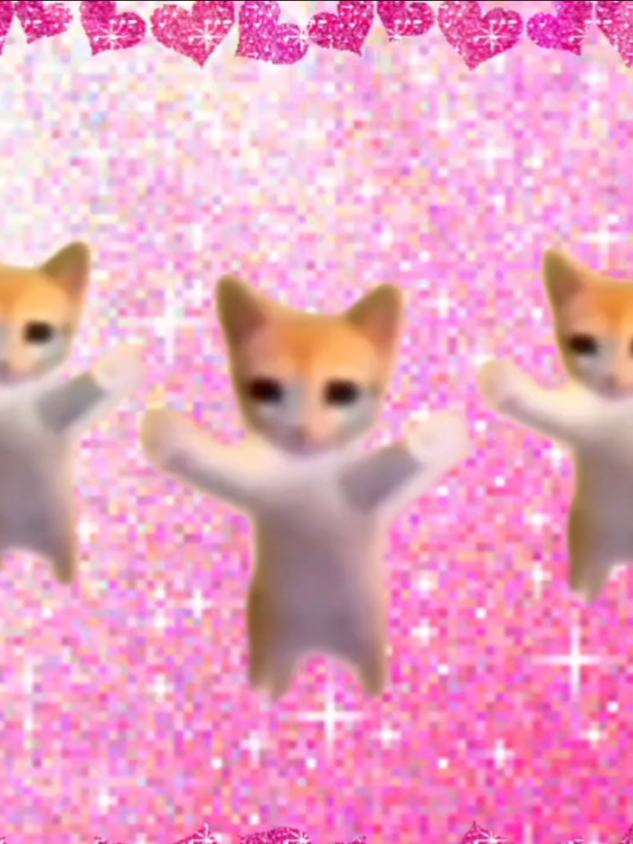 @ʕ˶ᵔ ﻌ ᵔ˶ʔ ♡ ⋆。˚