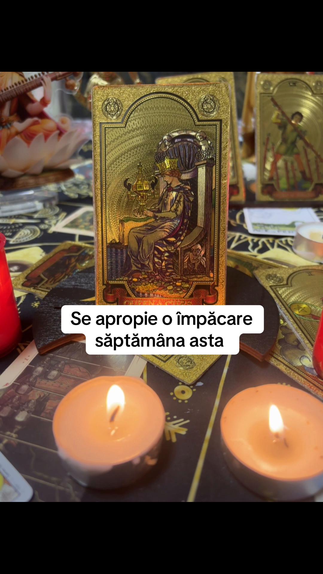 @🥀Tamaduitoarea Denysa 🔮