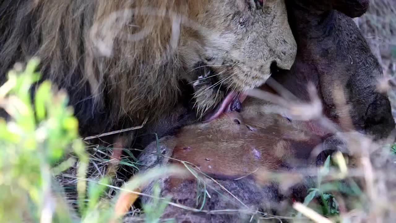 @Албена Граминова