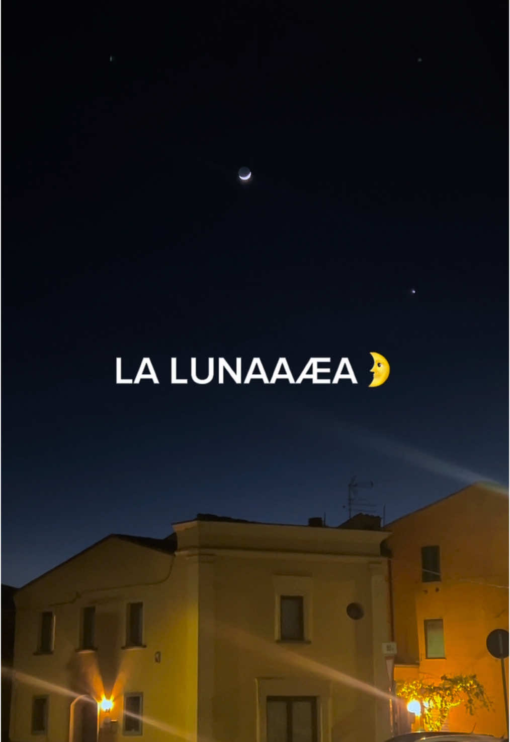 @nenavessel_