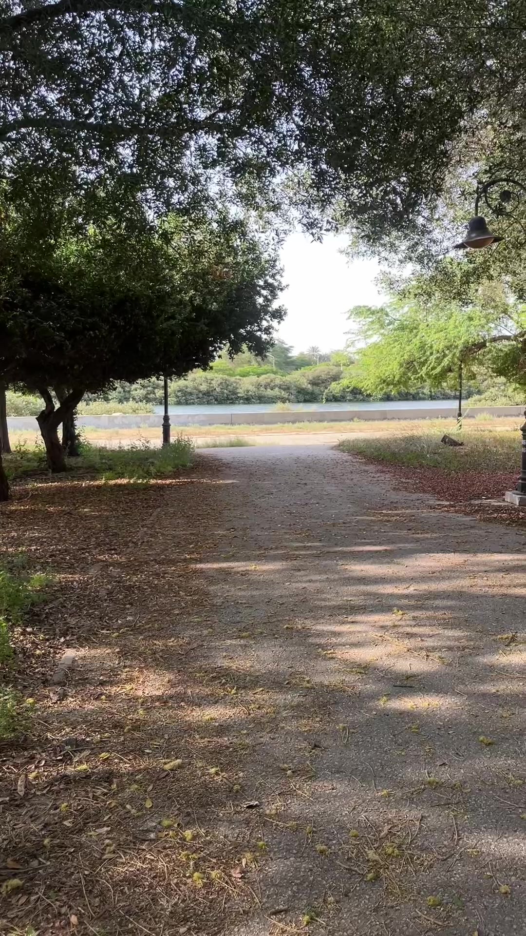 @ملك بلوقررر / الجبيل ✨