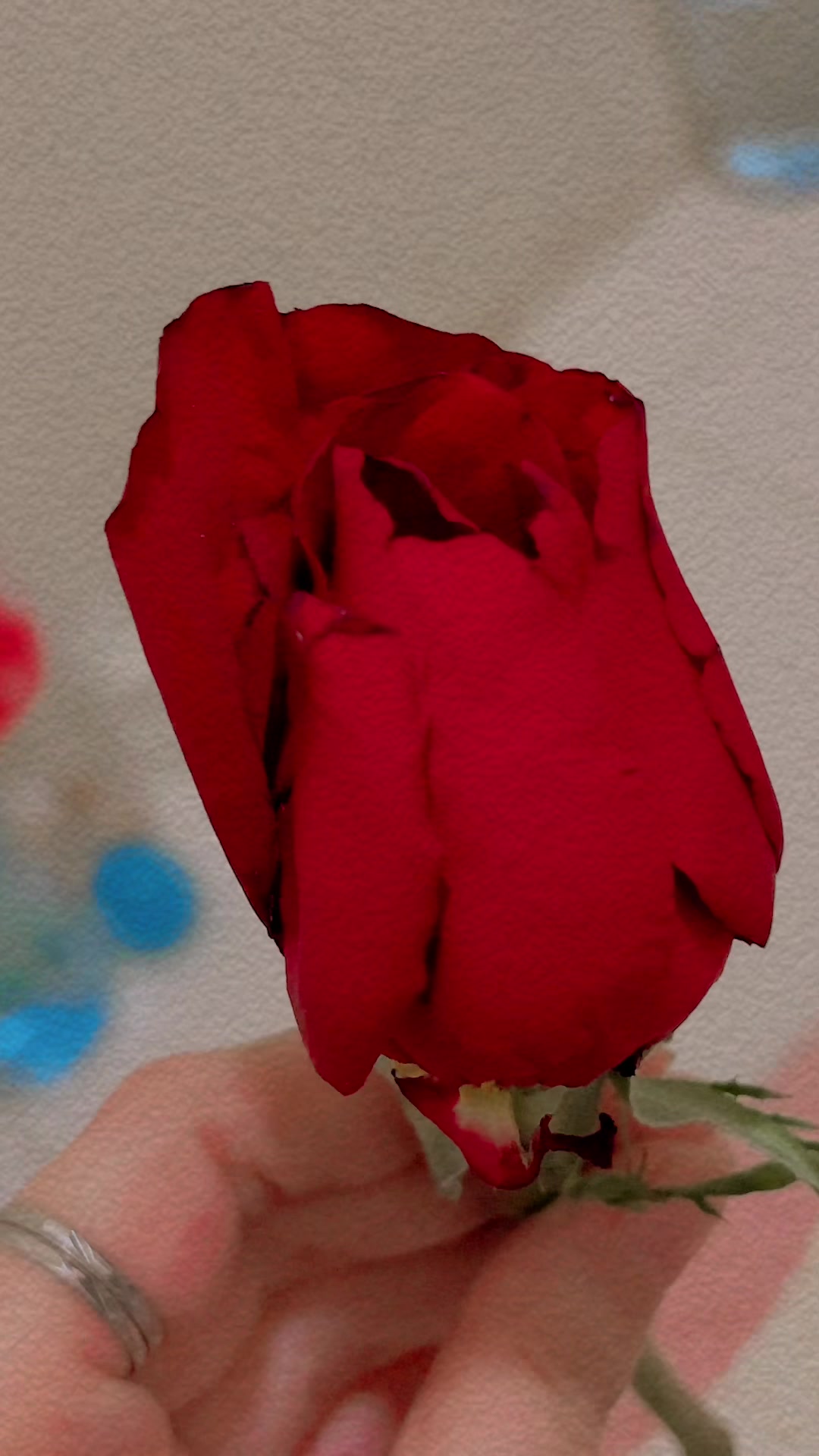 @zahraaftab6