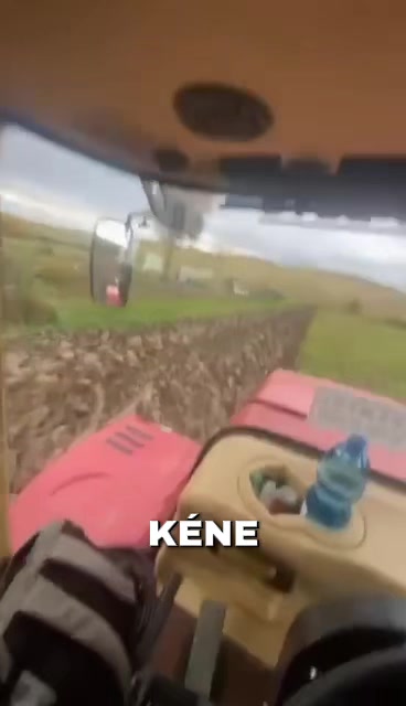 @Süni🦔
