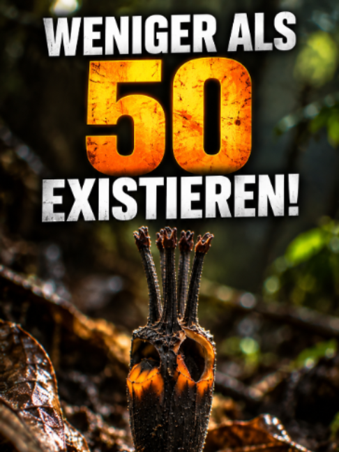 @Naturwunder erklärt