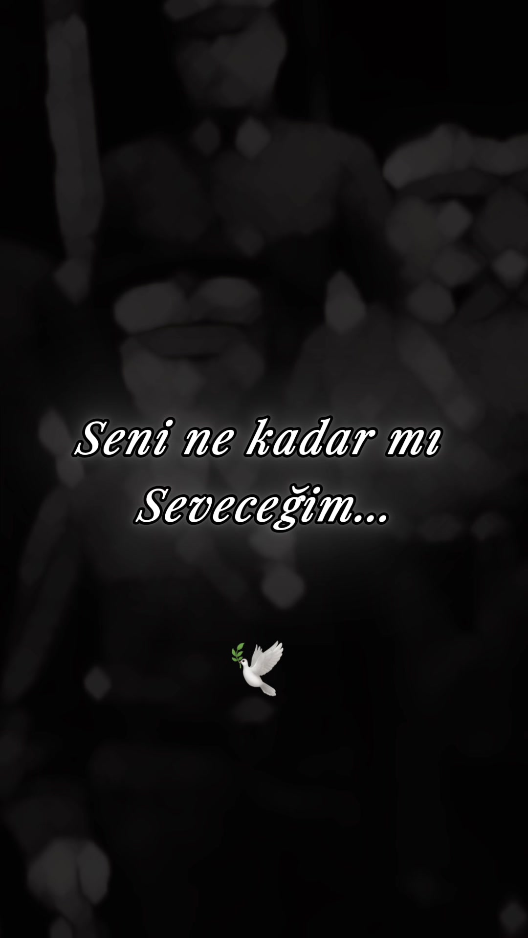 @Munzur_|🇹🇷193♾️