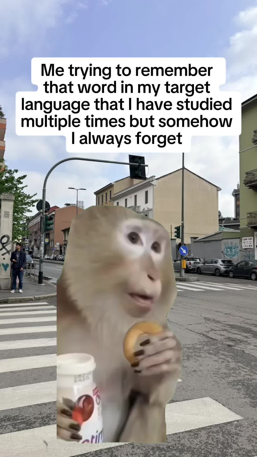 @LingoLooper