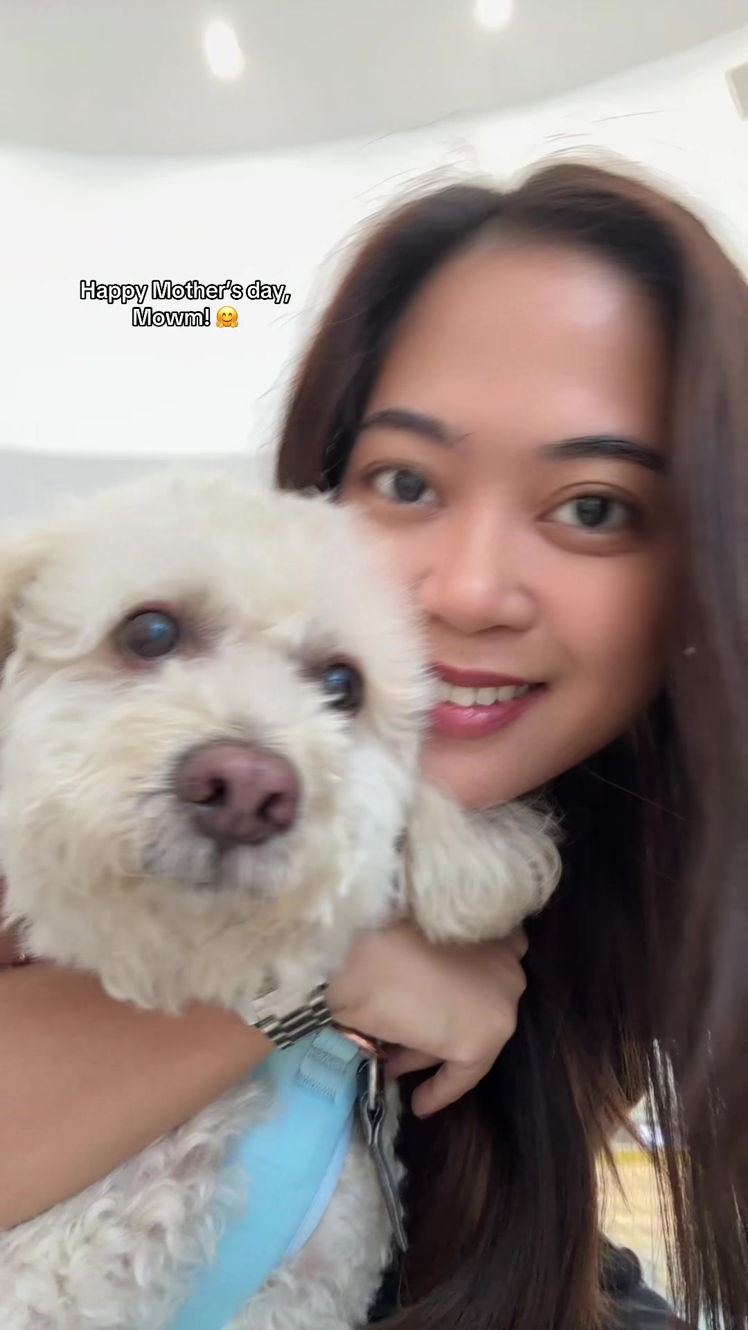 @Coco the poodle