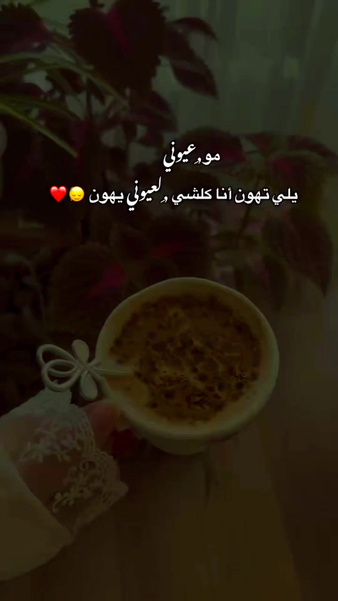 @أُنثى القمَر🎀🧸
