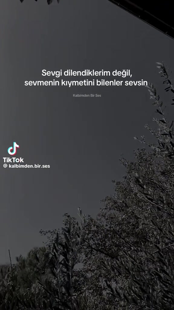 @seherbolkan7