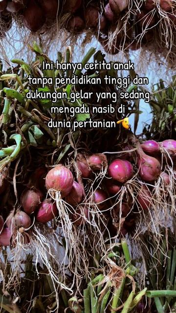 @Nanda