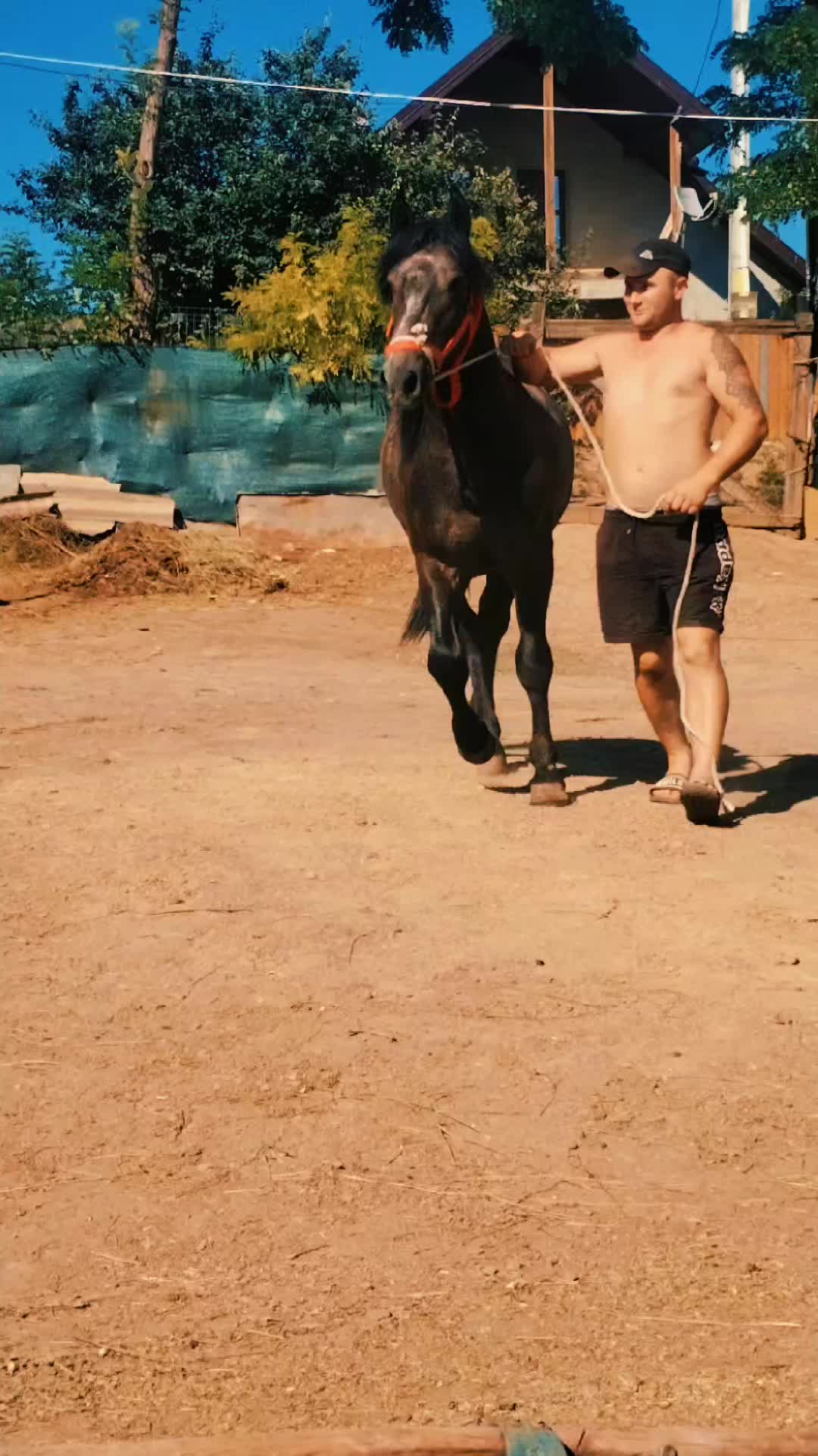 @Cătălin
